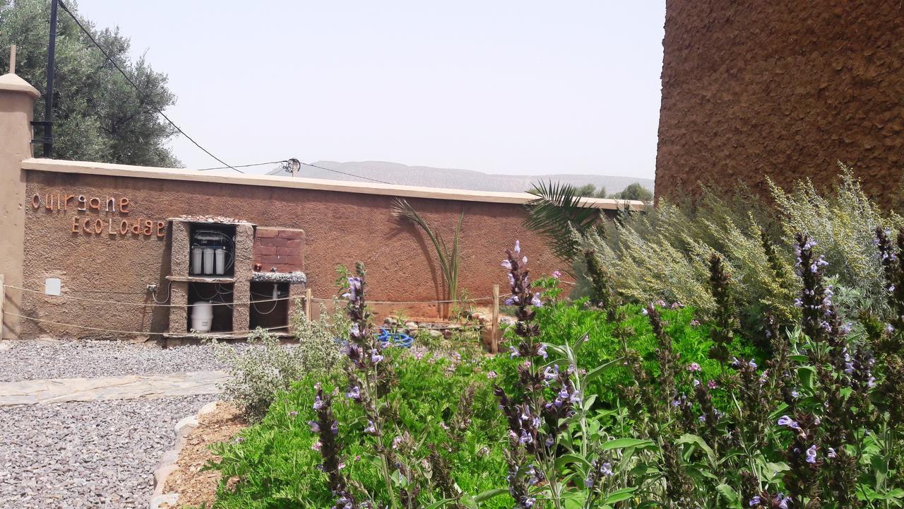 Ouirgane Ecolodge المظهر الخارجي الصورة